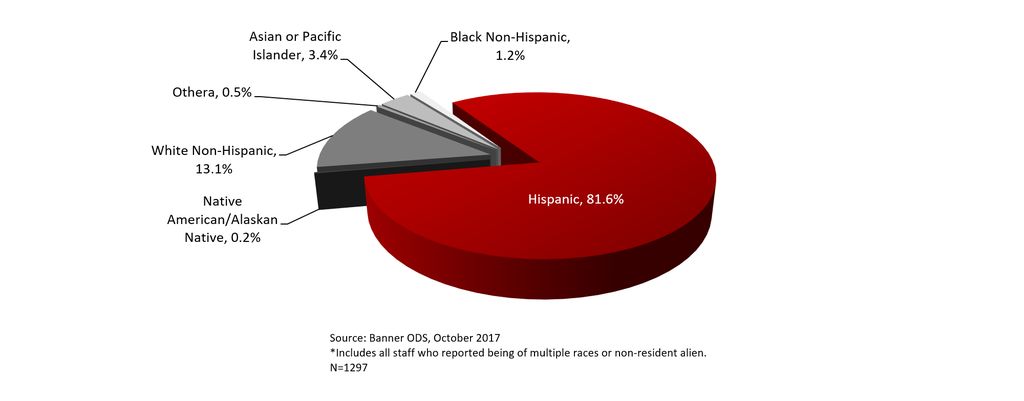 Total Staff by Race-Ethnicity, Fall 2017